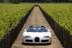 Bugatti Veyron 16.4 Grand Sport Roadster 2008 года